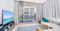 728/60 Walker St Rhodes NSW 2138