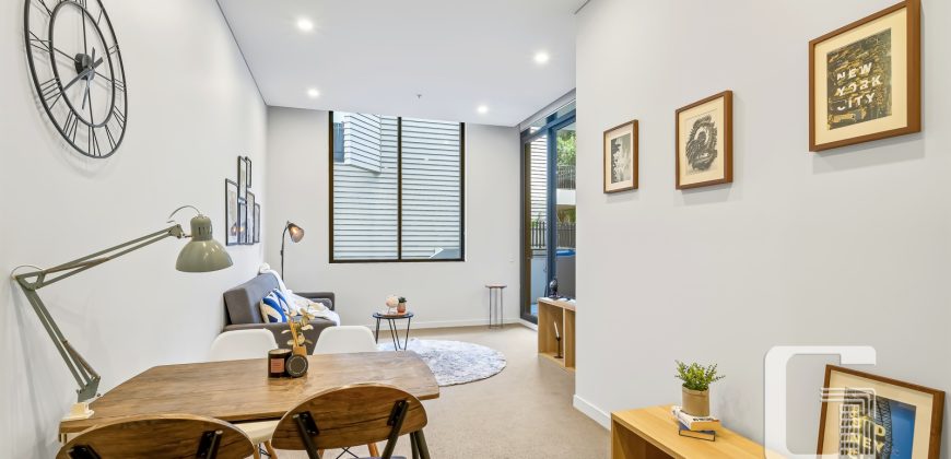 3203/5 Gadigal Avenue, Waterloo