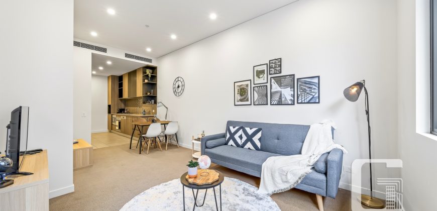 3203/5 Gadigal Avenue, Waterloo